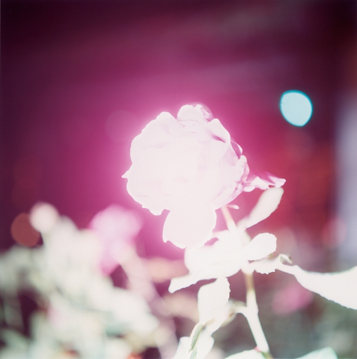 职业组 书籍类：Rinko Kawauchi – “Illuminance by Rinko Kawauchi (Aperture 2011)”