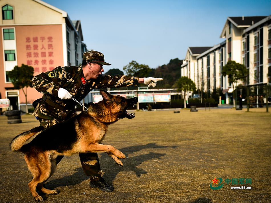 训练也是考验我们和训导员默契的时刻,训导员和我们