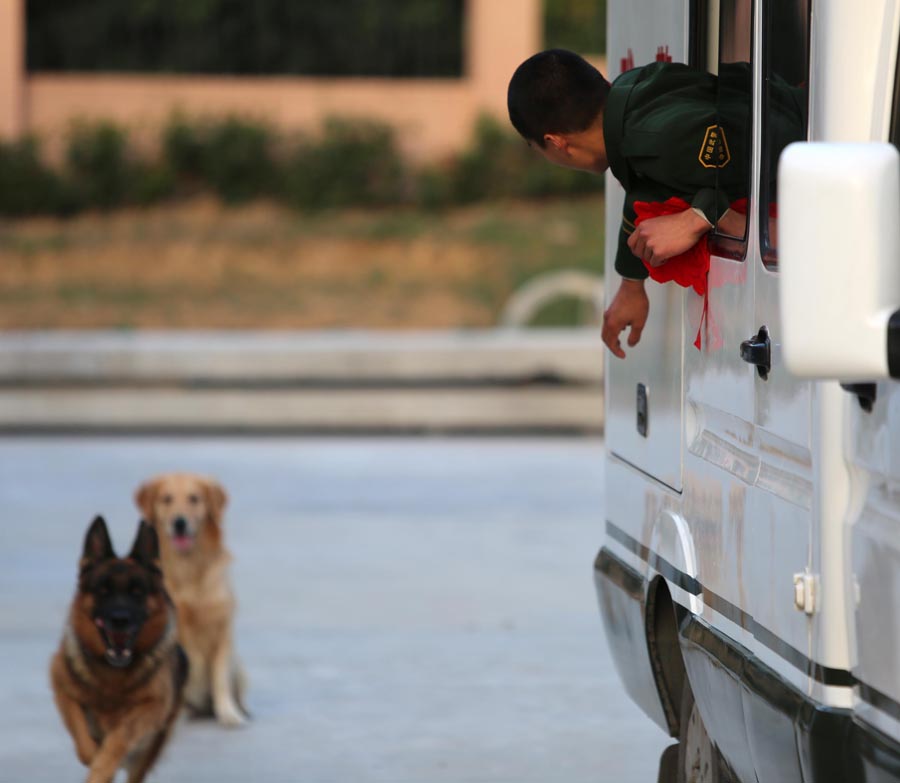 杭州:兵犬情 难说再见