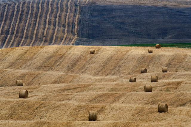 jurekravanja如油画般的摄影作品