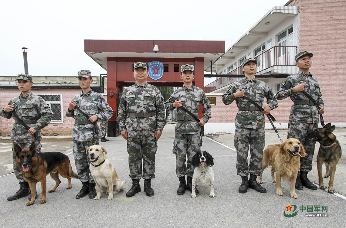 亚洲犬王贾树志图片