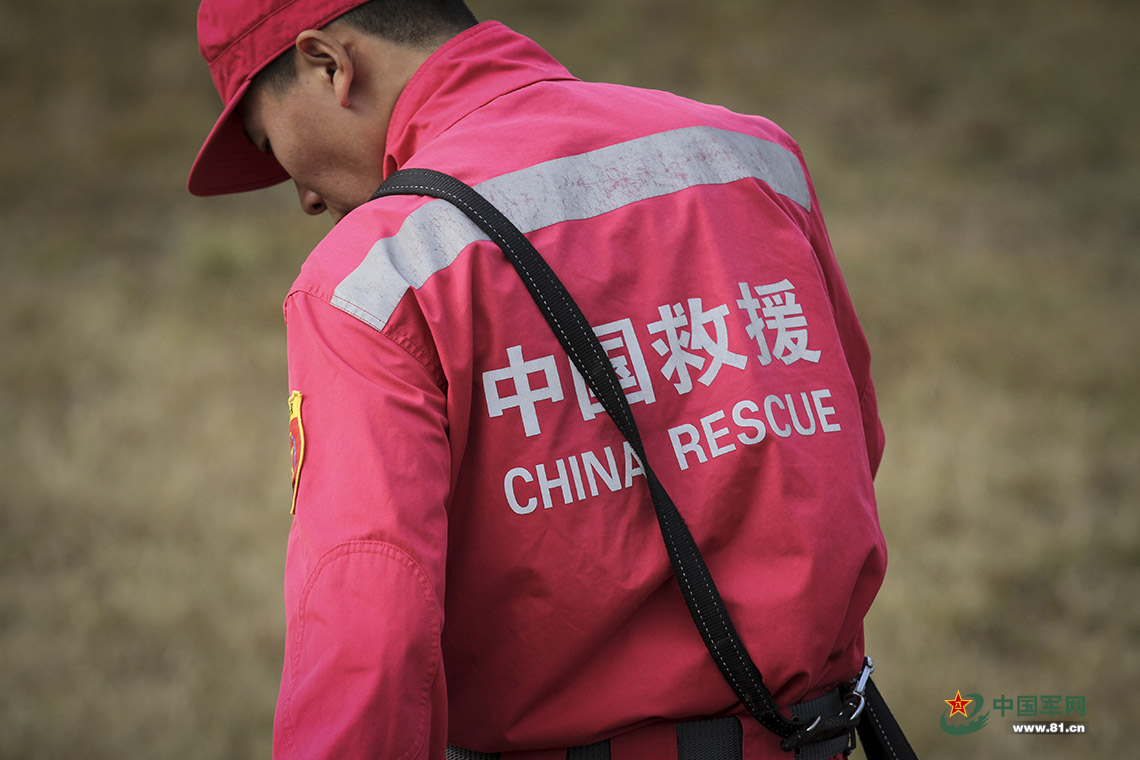 亚洲犬王贾树志图片