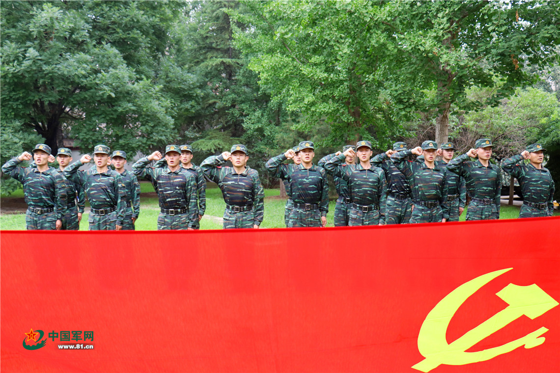 军人党旗宣誓图片