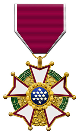 美国功绩勋章：士兵级别。