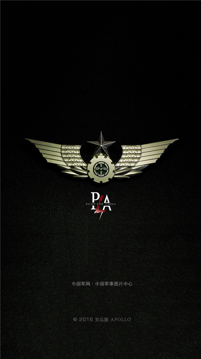 陆军胸标logo矢量图图片