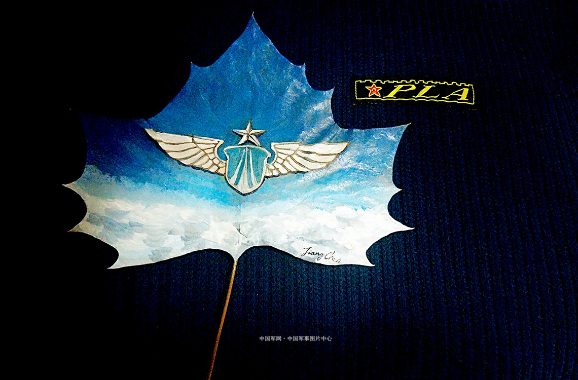中国空军壁纸胸章图片