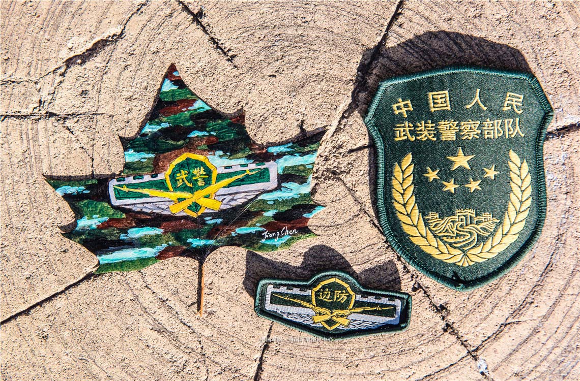 中国武警壁纸 警徽图片